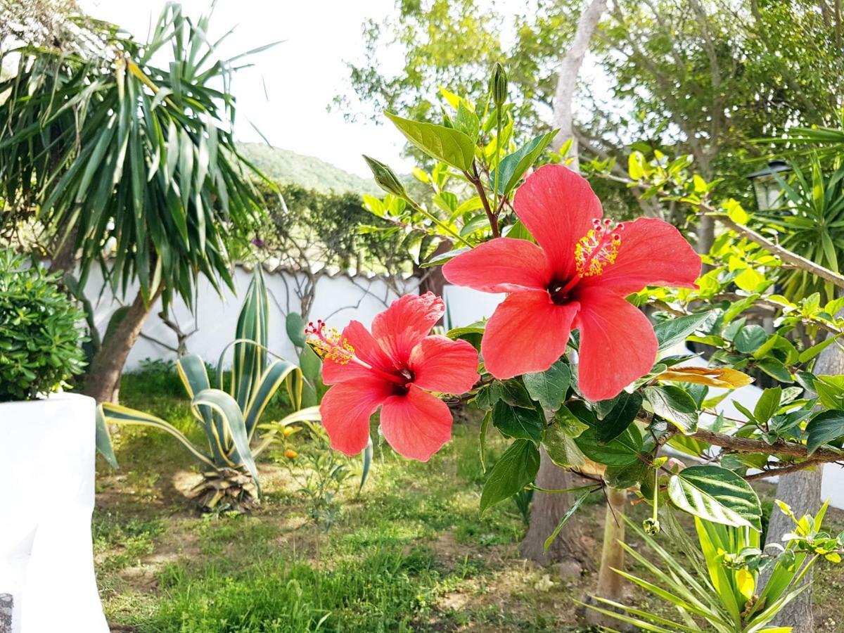 Villa Del Sogno Parghelia Exteriér fotografie