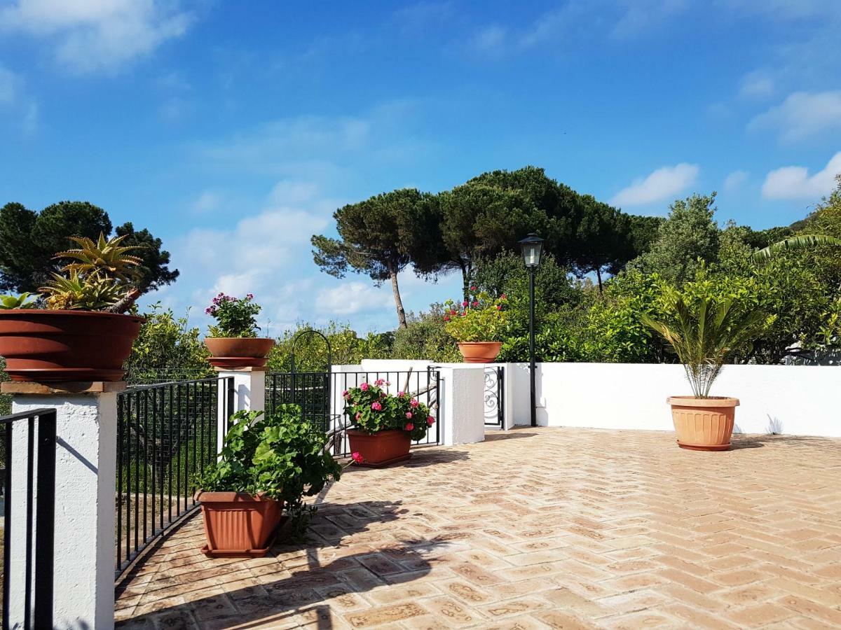 Villa Del Sogno Parghelia Exteriér fotografie
