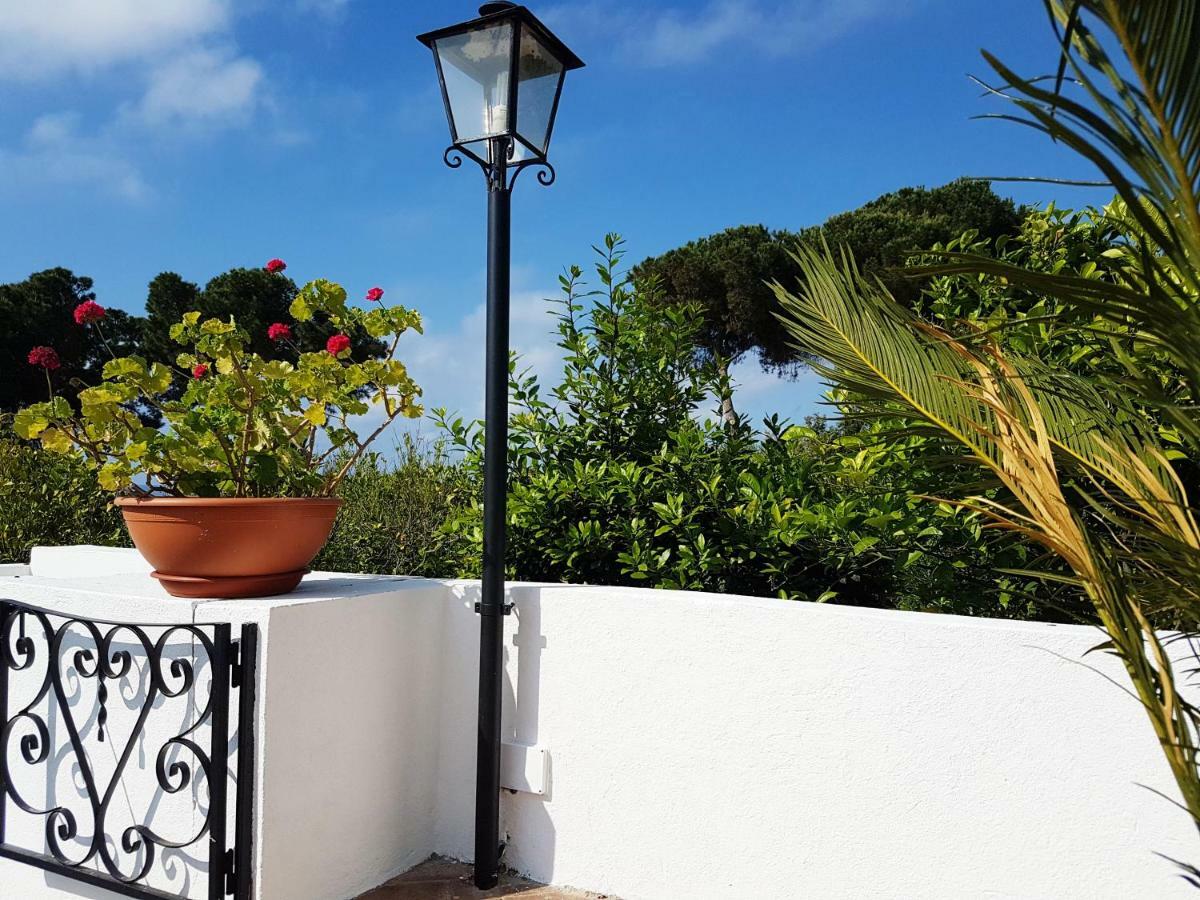 Villa Del Sogno Parghelia Exteriér fotografie